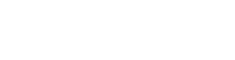 Logo Nuevo Mexico